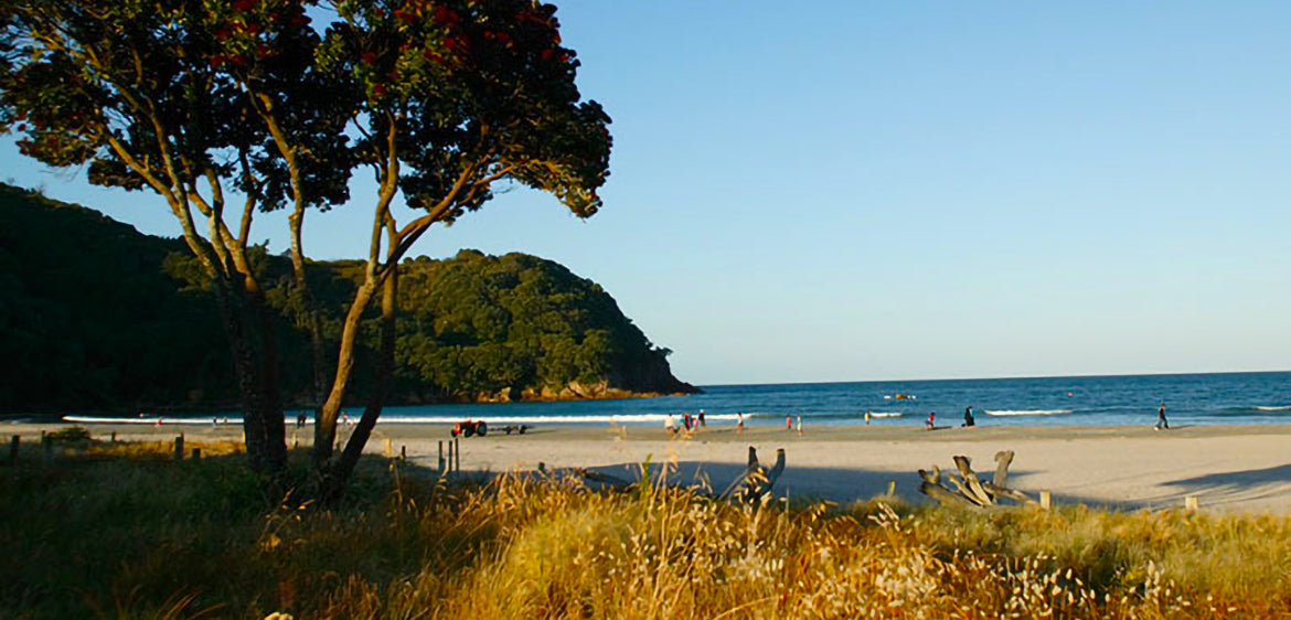 Destination - Waihi Beach