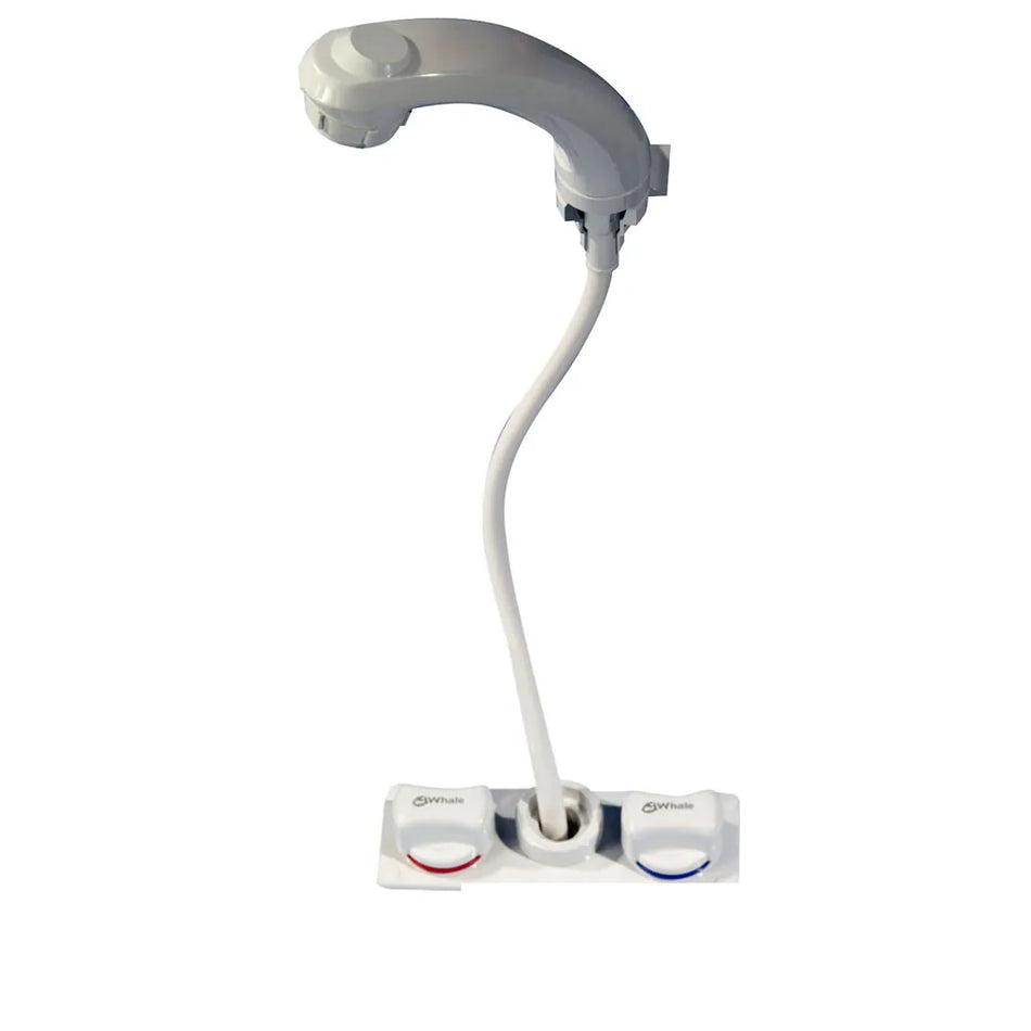 Whale Elegance Combo Tap & Shower Mixer RT2500