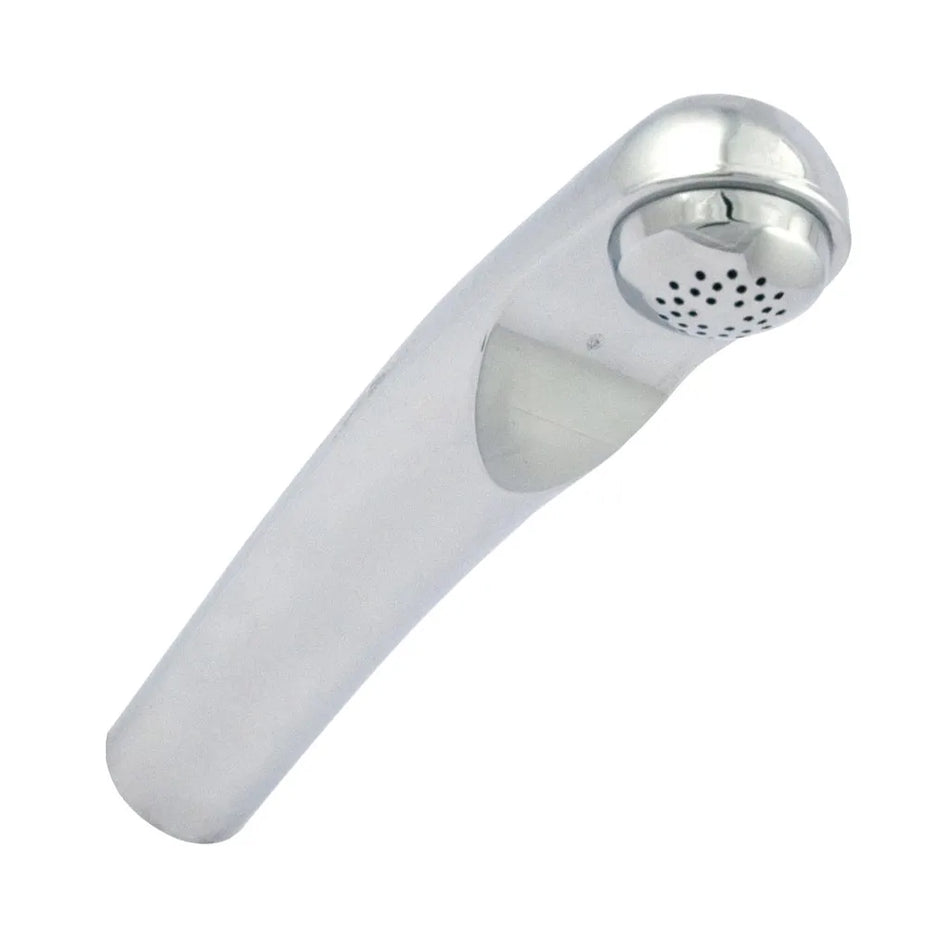 Reich Chrome Spare Spout