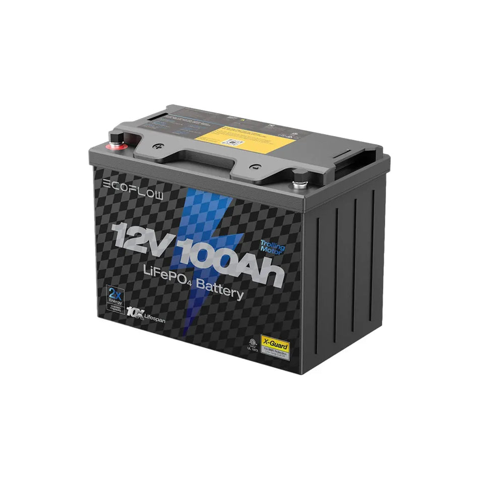 Ecoflow 100AH Lithium deep Cycle Battery