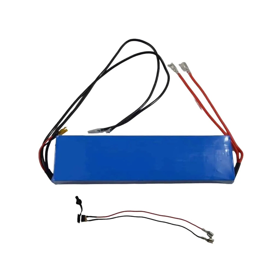 Robot Trolley Battery for RT2500 Version G1-G2 11 A/Hr